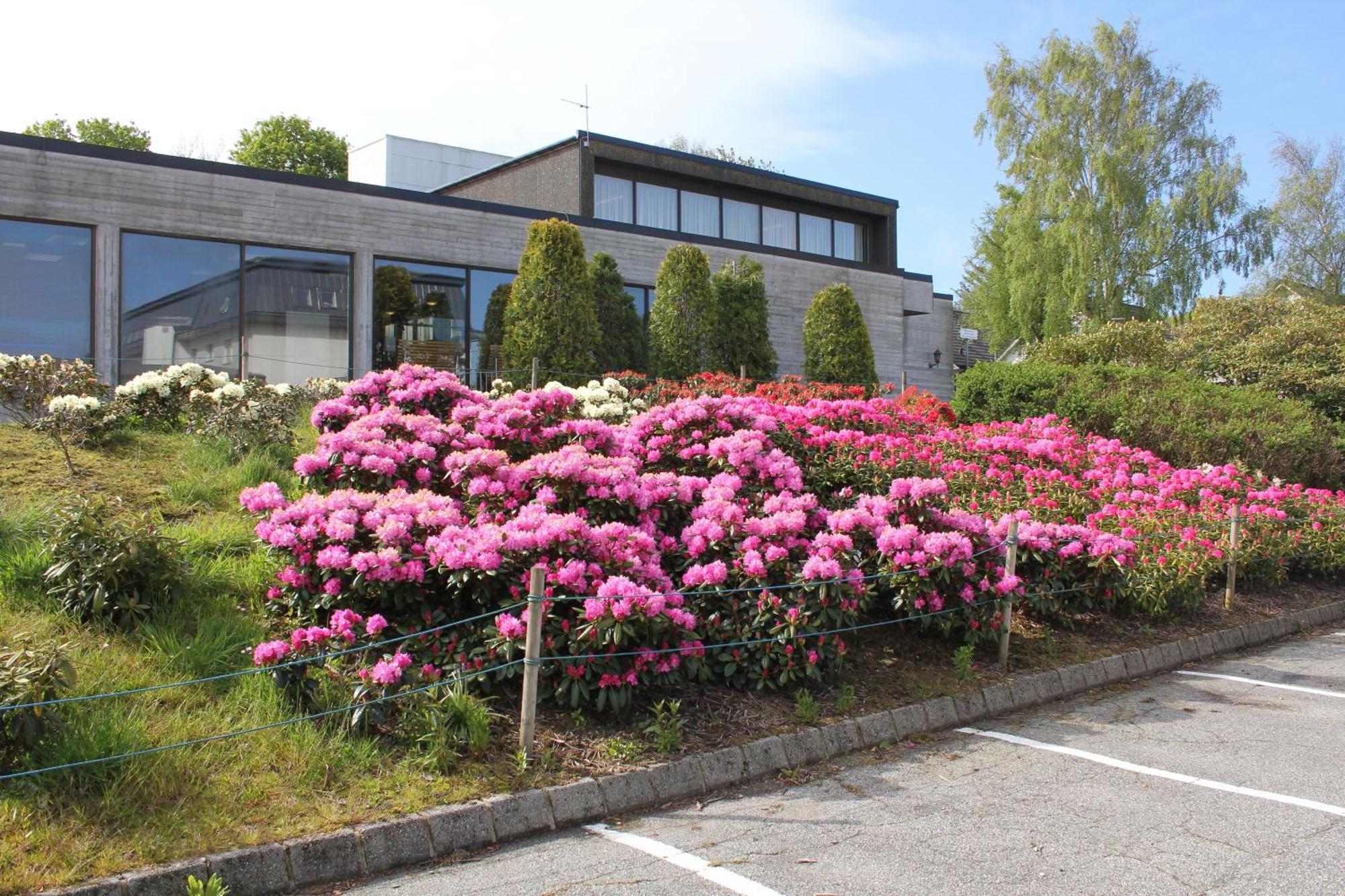 Solborg Folkehogskole Hostel Stavanger Exterior foto