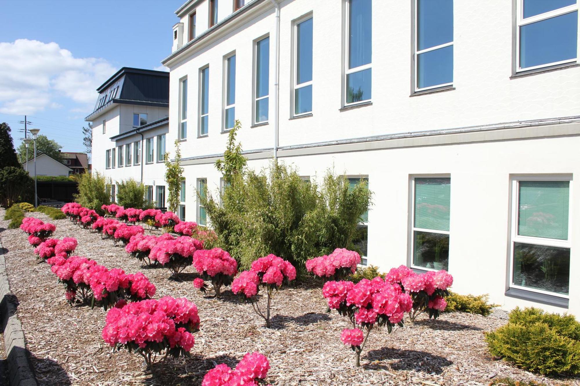 Solborg Folkehogskole Hostel Stavanger Exterior foto